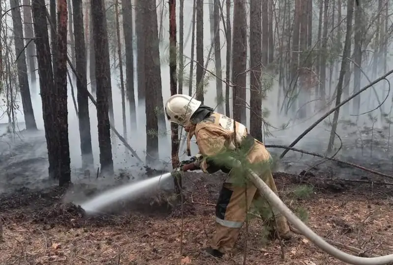 Taǵy eki eldimekende órttiń jańa oshaǵy tabyldy – TJM