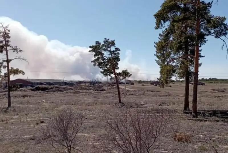 Крупный пожар вспыхнул на Алтае у границы с Казахстаном