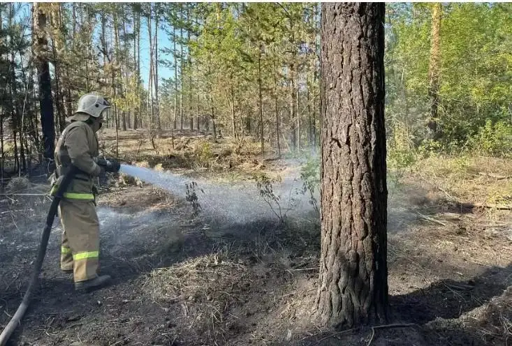 كاتونقاراعايداعى ورمان ءورتى: تىكۇشاقپەن 10 رەت سۋ توگىلدى، جۇمىستار جالعاسۋدا