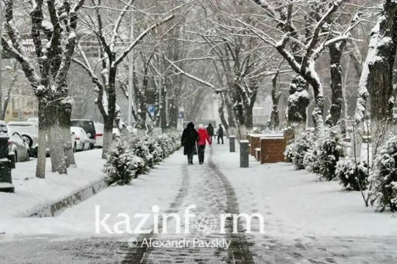 О погоде в период посевной рассказали синоптики СКО