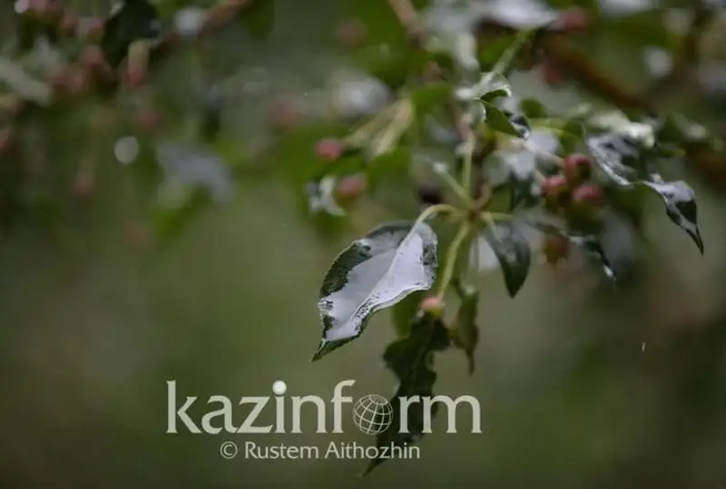 قازاقستاندا الداعى ءۇش كۇندە جاڭبىر جاۋىپ، كۇن سۋىتادى - سينوپتيكتەر