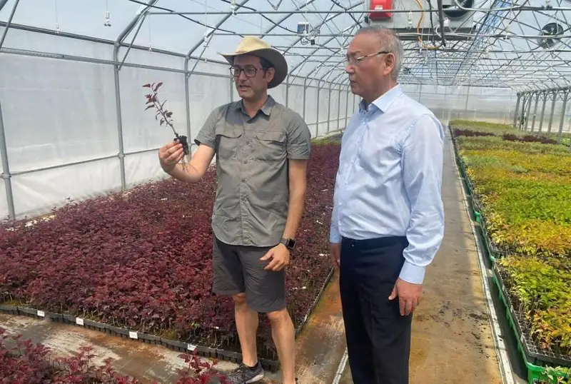 Сенатор Султанбек Макежанов ознакомился с тепличным хозяйством в Алматинской области
