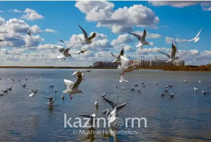 جوعارعى سوت كىشى تالدىكول ءىسى بويىنشا ۇكىم شىعاردى