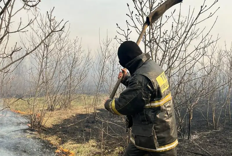 Сухостой загорелся в Уральске на 70 гектарах