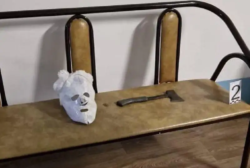 ىشكى ىستەر ۆيتسە- ءمينيسترى پەتروپاۆلداعى وقيعانىڭ قالاي بولعانىن ايتتى