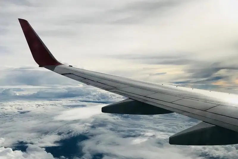 Пять человек погибли, восемь пострадали при падении самолета в Польше