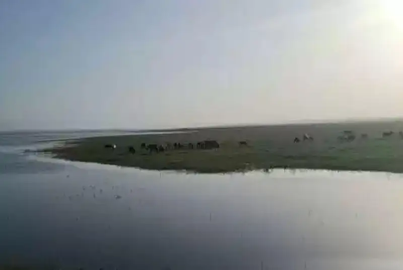 Более 220 млн кубометров поливной воды получит Жамбылская область