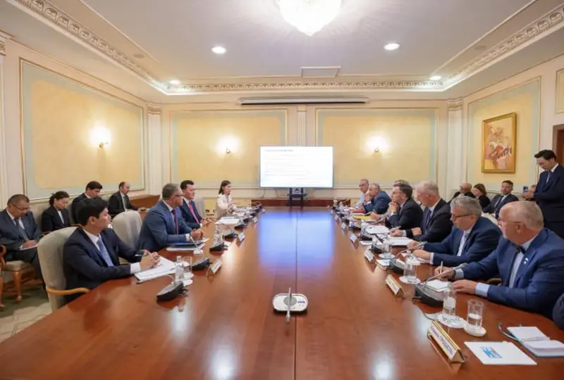 Memlekettik keńesshi Eýroparlament depýtattarymen kezdesti