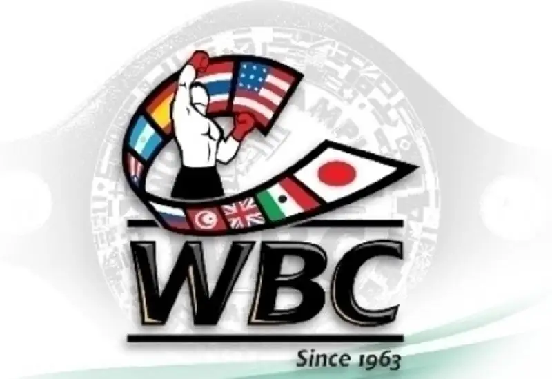 Какие позиции занимают казахстанские боксеры в рейтинге WBC