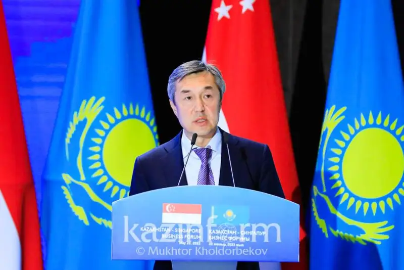 بىزگە سينگاپۋردىڭ بانك سالاسىنداعى تاجىريبەسى قىزىق - رايىمبەك باتالوۆ