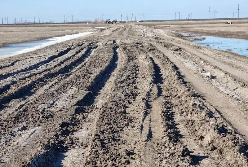 Жители Павлодарской области 30 лет просят построить дорогу к их селу