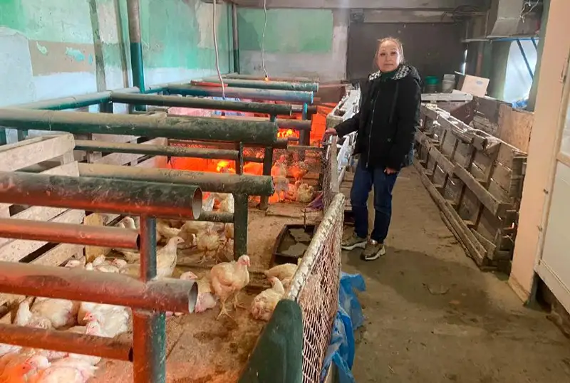 س ق و-دا جازاسىن وتەپ جاتقان ايەلدەر قويان مەن تاۋىق ءوسىرۋدى قولعا الدى - فوتو