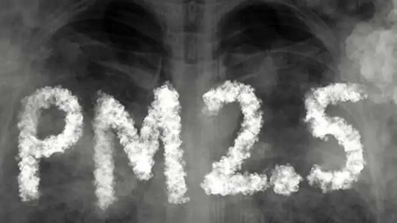 研究显示PM2.5或导致肺癌恶化