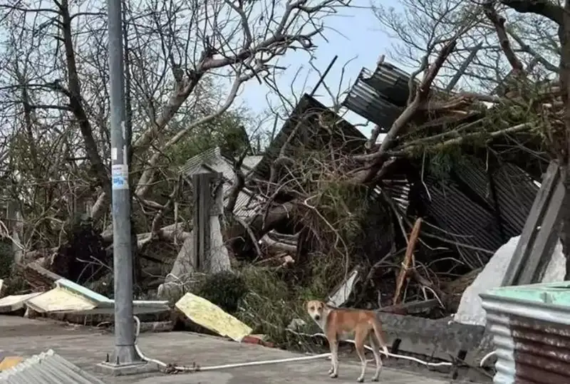 Бангладеш ва Мьянмадаги «Мокко» циклони: юзлаб одамлар эвакуация қилинди