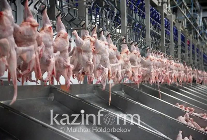 Импорт молока и мяса птицы снизили в Казахстане