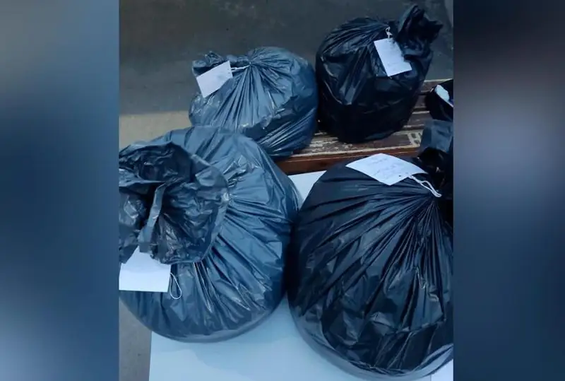 قازاقستانعا ءىرى كولەمدە اپيىن مەن گاشيش وتكىزبەك بولعاندار شەكارادا قولعا ءتۇستى