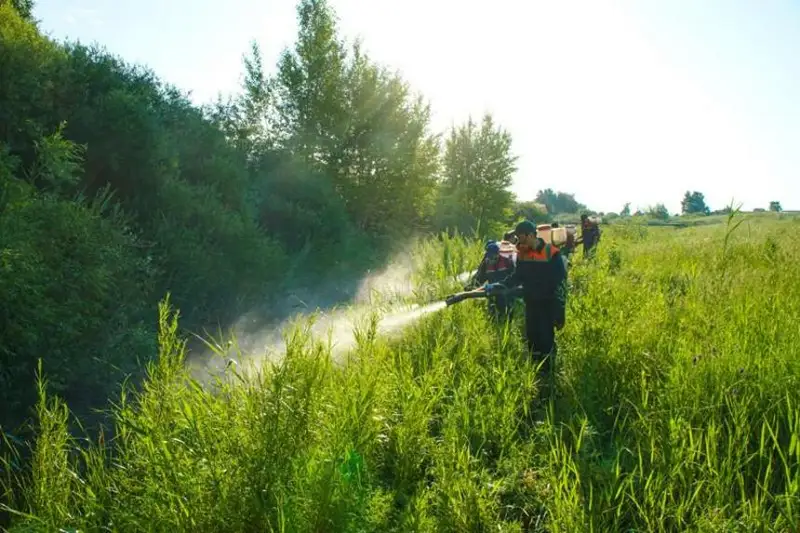 Алматыда безгек масаларының дернәсілдеріне қарсы өңдеу жұмыстары  басталды