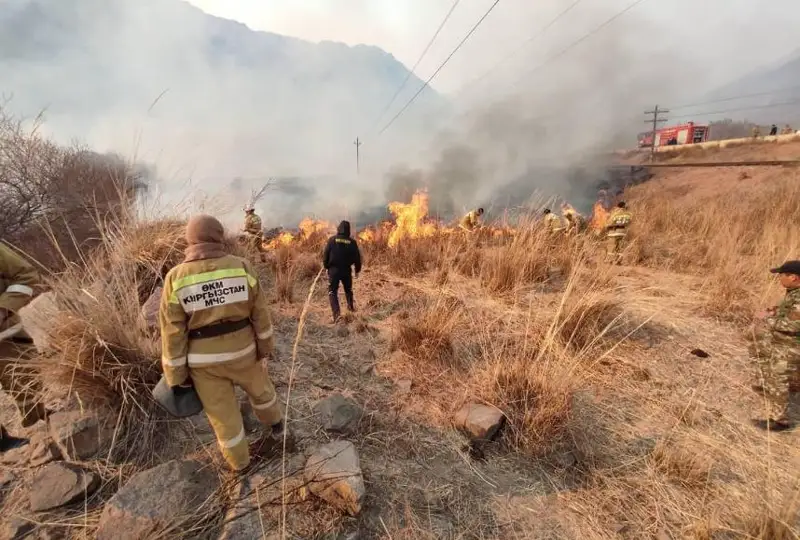 Крупный пожар вспыхнул в Боомском ущелье в Кыргызстане