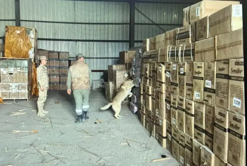 Вывоз из Казахстана сигарет на 50 млн тенге пресекли пограничники в Костанайской области