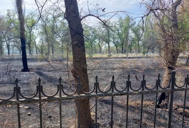 Природный парк и кладбище загорелись в Таразе