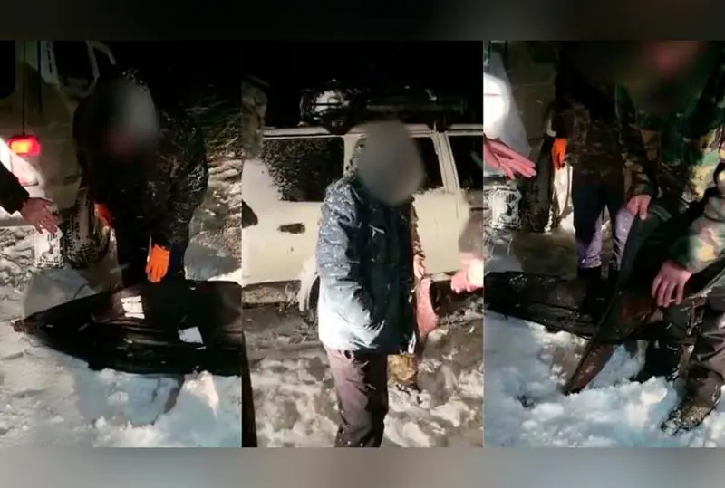 Четырех браконьеров осудили в Жетысуской области