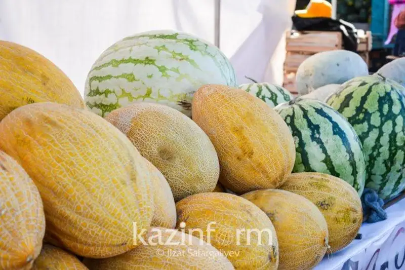 جەتىسايلىق شارۋالاردىڭ ءونىمى الماتى قالاسىندا دەلدالسىز ساتىلاتىن بولدى