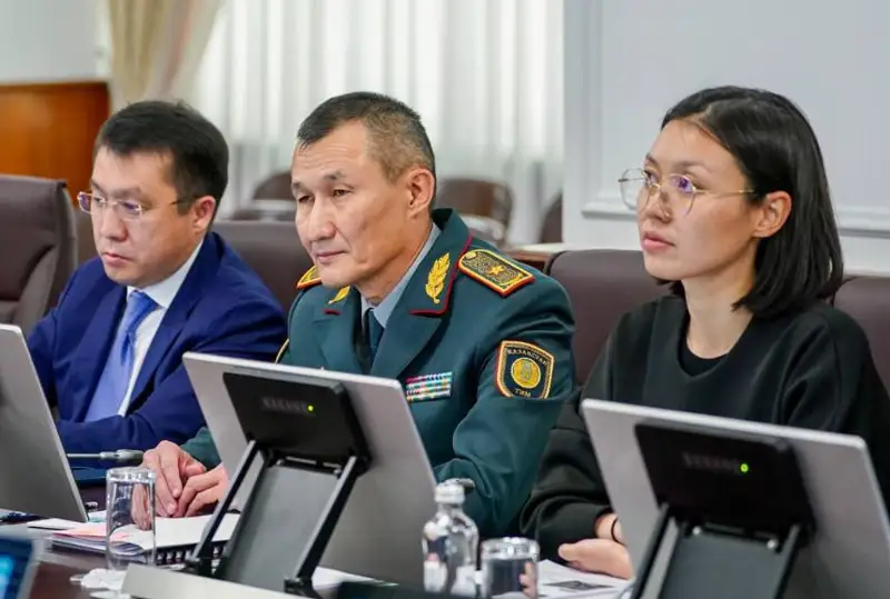 Своей ответственности не избегаю – министр экологии прокомментировала пожар в области Абай