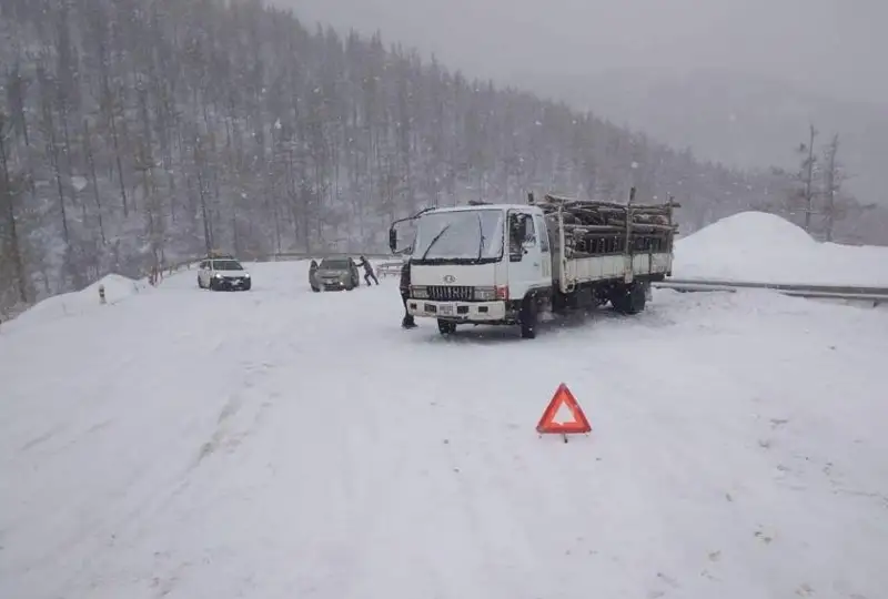 Снежная буря обрушилась на Монголию