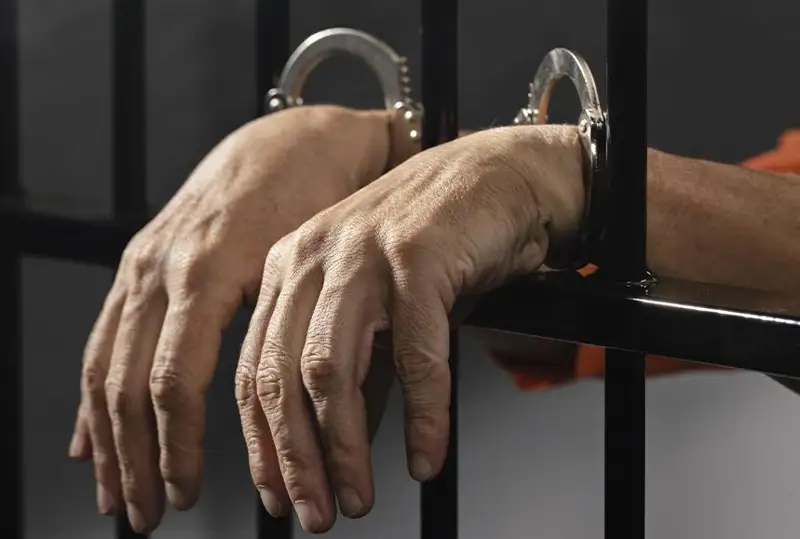 Obyrmen aýyratyn áıelin óltirgen brıtandyq 1,5 jyldan keıin bostandyqqa shyqty