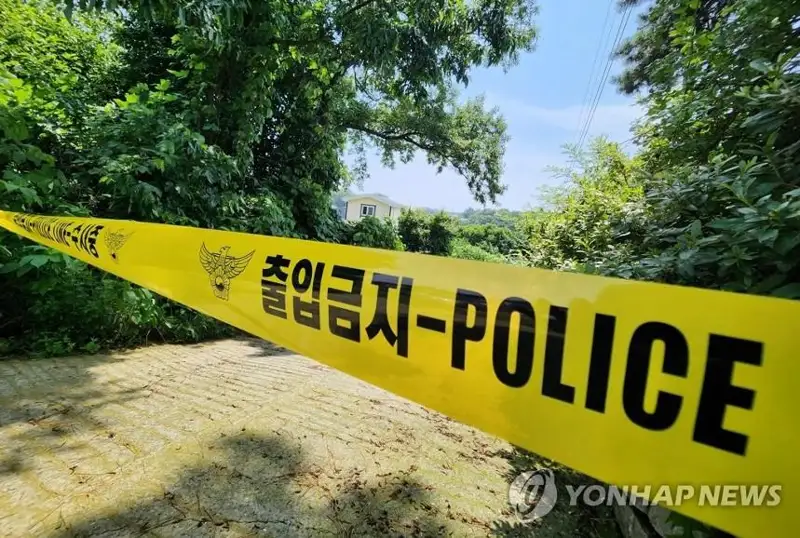 وڭتۇستىك كورەيادا 1000-عا جۋىق «ەلەس نارەستەلەر» ءىسى تەرگەلىپ جاتىر