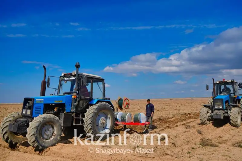 Пятикратного увеличения урожайности ожидают в Туркестанской области