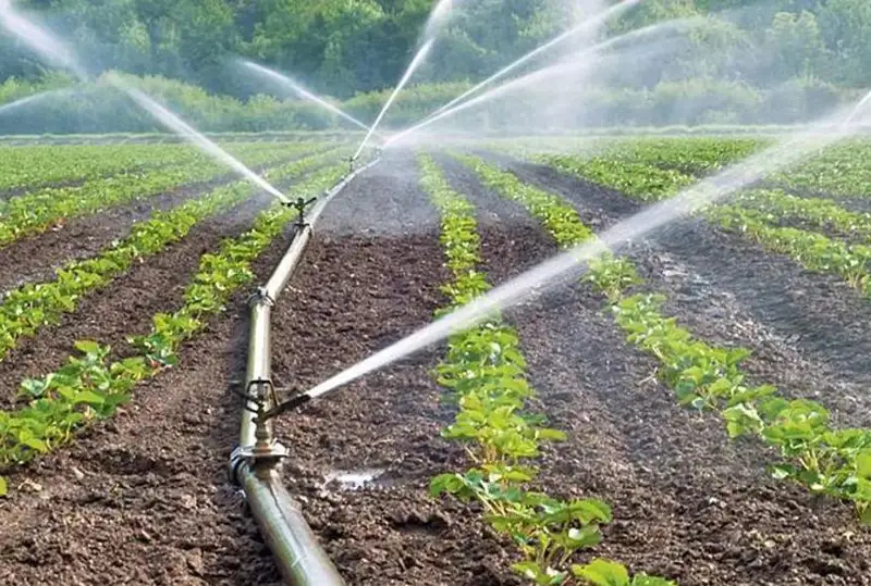 Увеличение субсидий мелких фермеров на оросительные системы нецелесообразно - Правительство