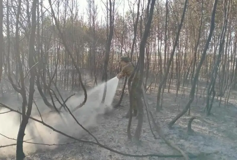 420 га сухой травы горит возле Степногорска