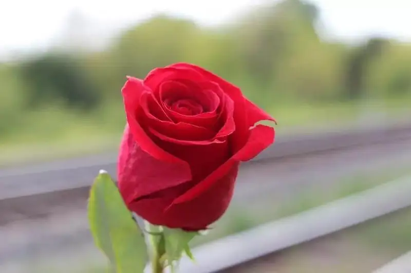وزىڭىزگە مىنا سوزدەردى ەشقاشان ايتپاڭىز