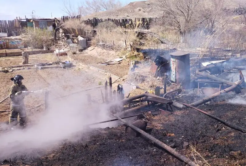 9 дачных участков сгорело за сутки в Карагандинской области