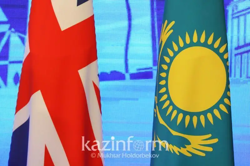 总统国际合作事务特别代表访问英国