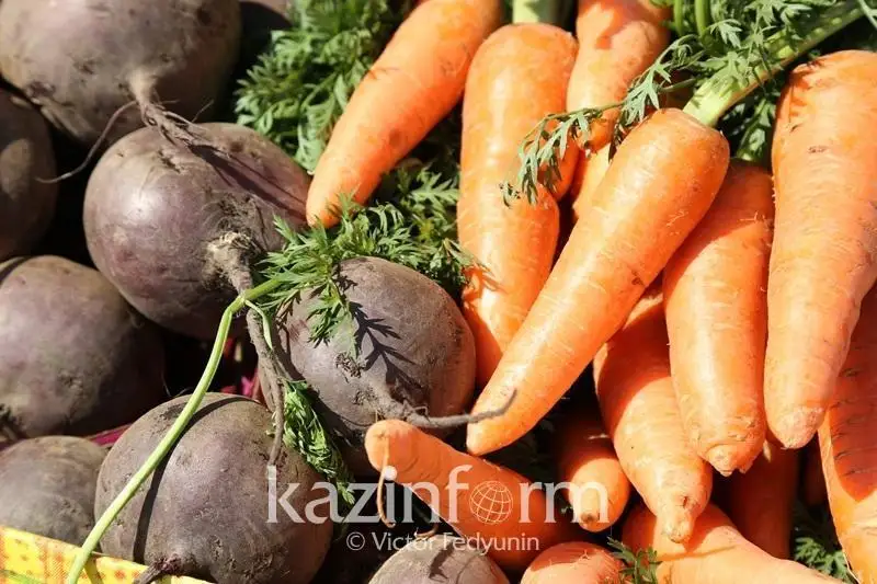 Aqmola oblysynda aýyl sharýashylyǵy ónimderiniń óndirisi 5 paıyzǵa artty