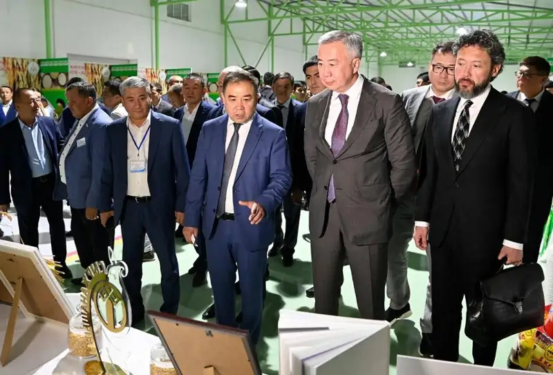 Контракты и меморандумы на 3 млрд тенге заключили СПК и предприниматели Казахстана на ярмарке риса