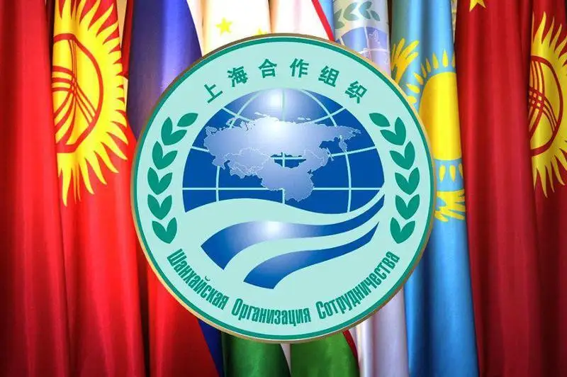 上合组织观察团抵达巴库 将对该国议会选举进行监督