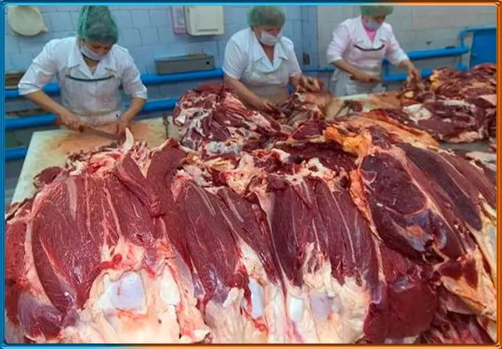 سولتۇستىكتە ەت وڭدەۋ كاسىپورىندارىنىڭ جارتىسى جابىلدى