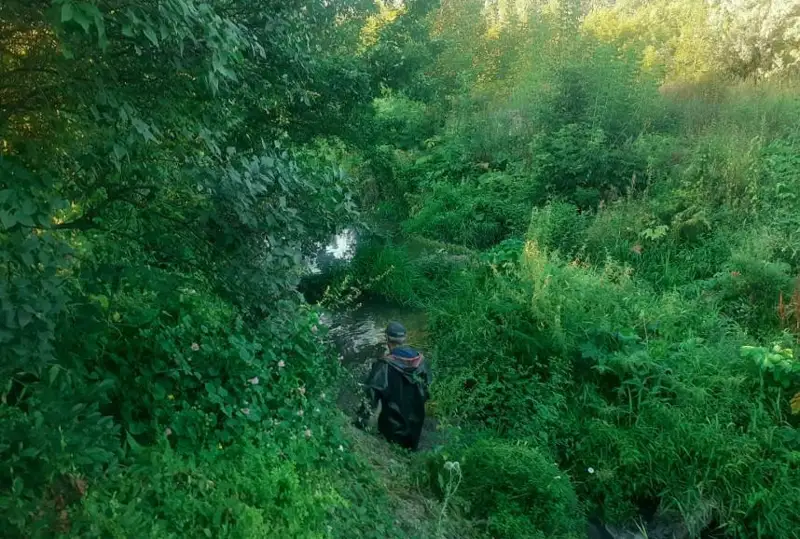 شىعىس قازاقستان وبلىسىندا جوعالىپ كەتكەن بالا ءالى تابىلمادى