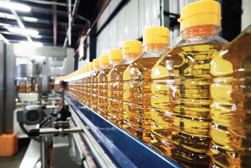 Объем производства подсолнечного масла вырос на 16,9% в Казахстане