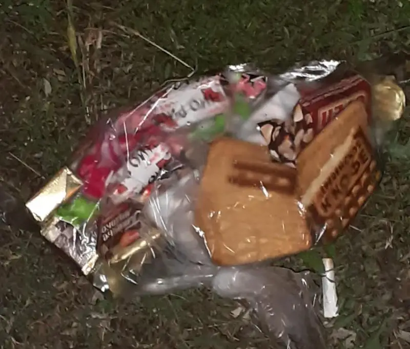 Belgisiz bireýler mektepterdiń aınalasyna ýlanǵan táttiler tastap ketedi -feık
