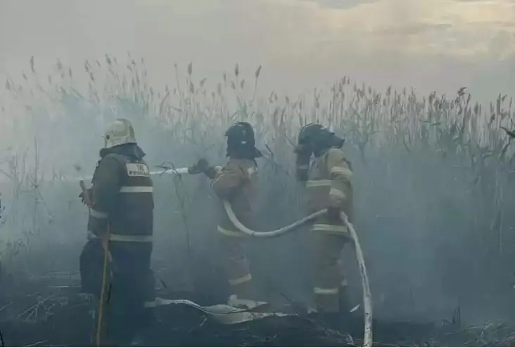 ەلوردا ماڭىنداعى 80 گەكتار ءورت وقشاۋلاندى