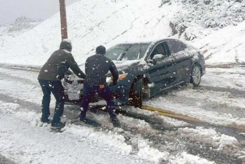 Калифорнияда қор бўрони туфайли бир неча юз минг уй электр таъминотисиз қолди