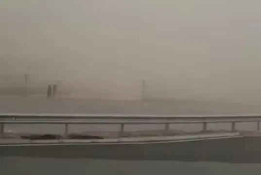 قىزىلوردادا شاڭدى داۋىل سوعىپ تۇر