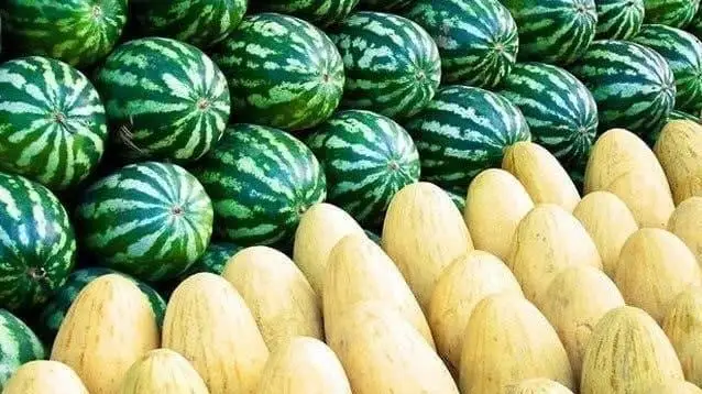 Ўзбекистон 23 давлатга 80 минг тоннадан ортиқ тарвуз экспорт қилган