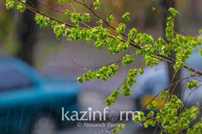 نايزاعاي، جاڭبىر: قازاقستاننىڭ 19 وڭىرىندە ەسكەرتۋ جاريالاندى