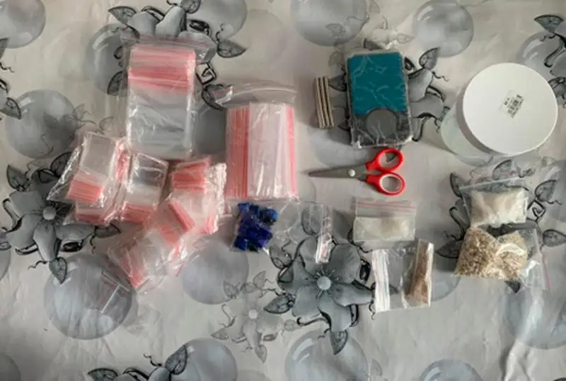 ينتەرنەت ارقىلى ەسىرتكى ساتقان پاۆلودارلىق 10 جىلعا سوتتالدى