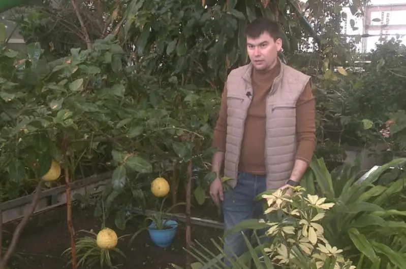 Шимолий Қозоғистон вилоятида ботаника боғи мўл ҳосил бермоқда